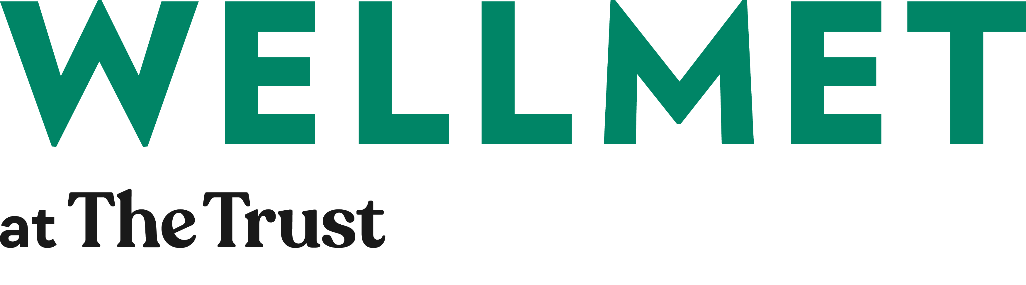 NEW branding 2024 WELLMET at The Trust logo (1).gif