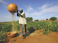 Le Niger doit reussir sa revolution verte