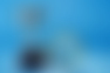 Silver trophy and gold-handled magnifying glass on a blue background. The setting feels bright and optimistic.