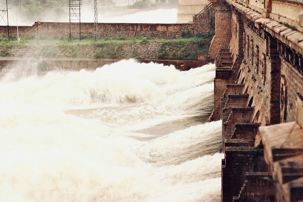 Liquid Asset: The Economics behind Water Waste