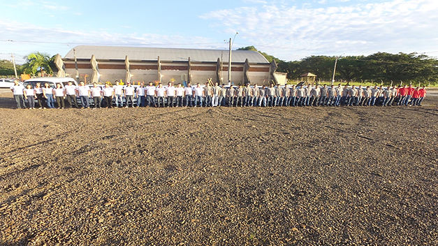 equipe-tecnoeletro.jpeg