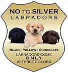 DiluteGrapghic-saynotosilver-seal.webp