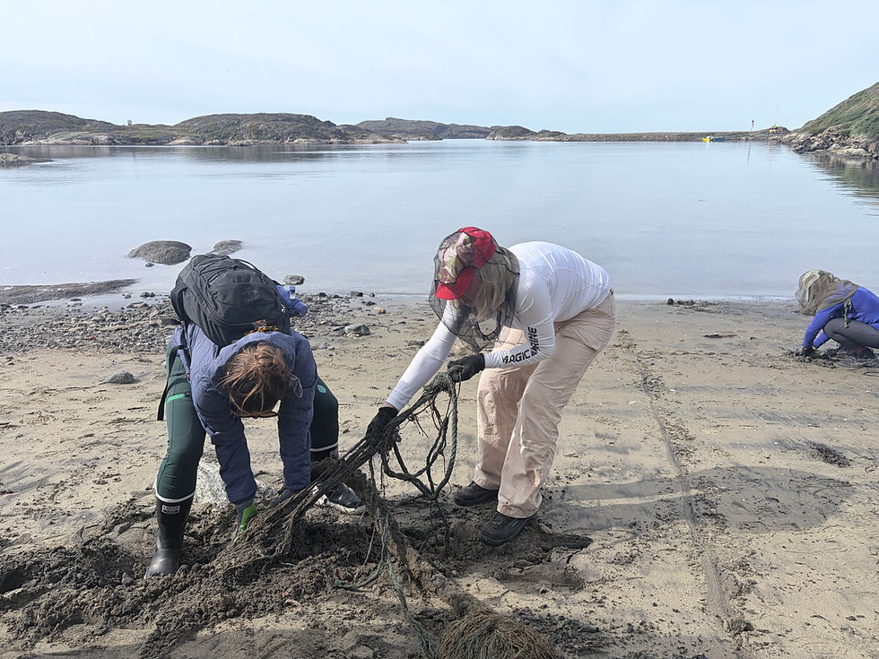 Picture 23. Digging out fishing rope and line from the beach.