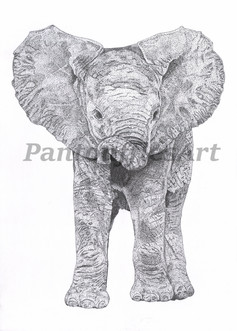 elephantwater.jpeg