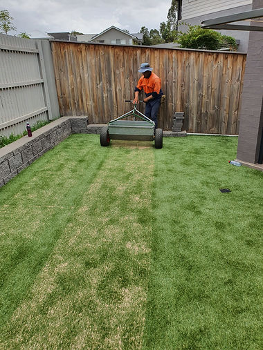 1 - Sand Infill.jpeg