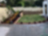 Image (6).jpeg