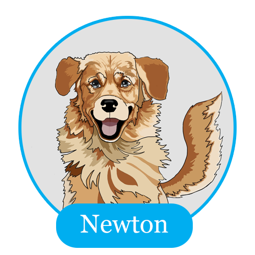 Newton