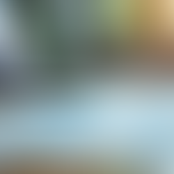 Expert Bondi Beach Accounting Services for Your Business Success