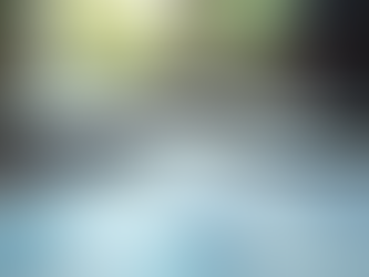 Why You Need Bookkeeping in Bondi for Wellness Businesses