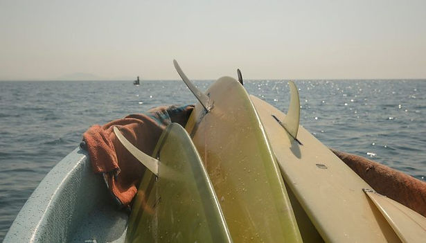 Mollusk Surf Shop.jpeg