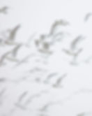 Anything and Everything