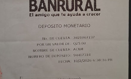 Ejemplo Boleta.jpg