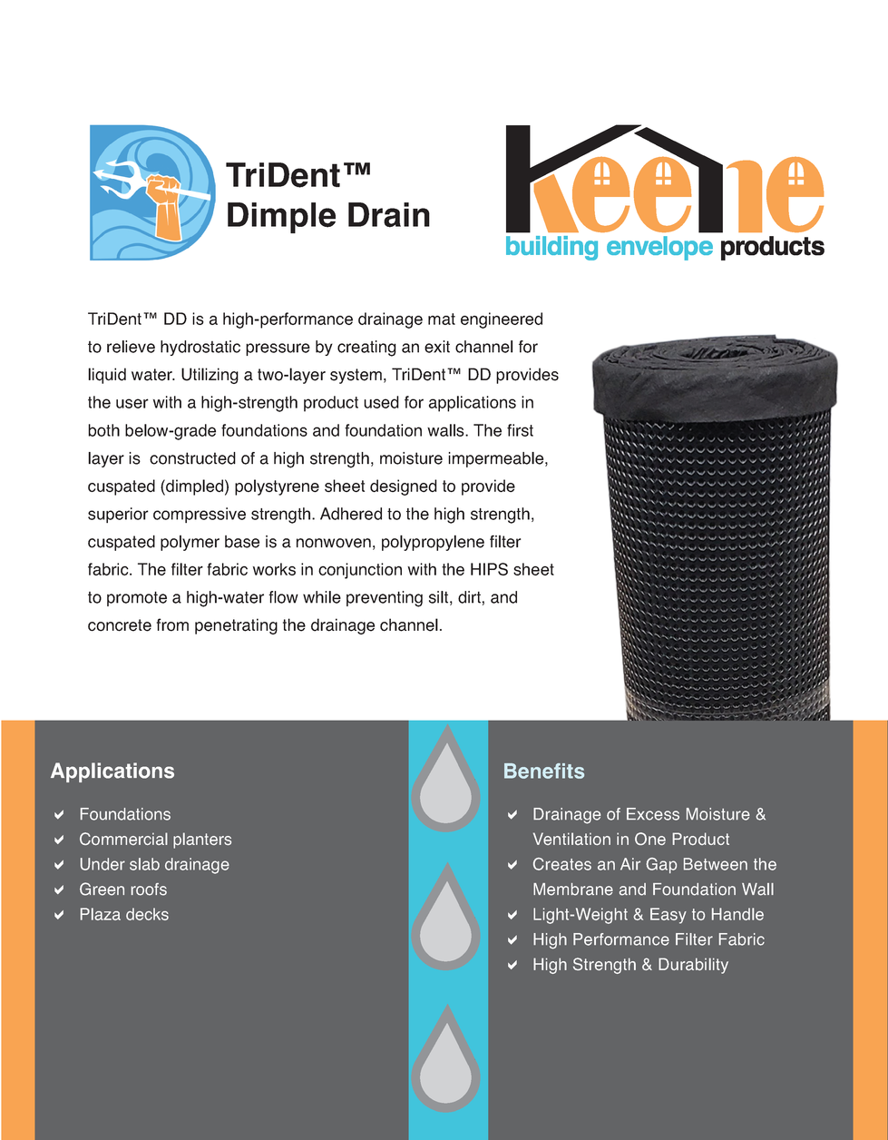 Trident DD Flier_Page_1