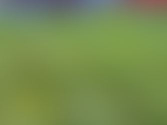 Felipe Alves e uma reflexão necessária: a importância do goleiro no modelo de jogo do Fortaleza