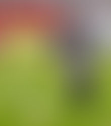 Neto Volpi, do Inter de Lages, honra a posição GOLEIRO