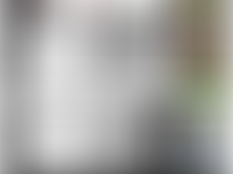 O Fenômeno italiano Donnarumma