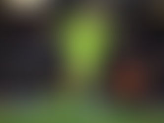 Você sabe em qual liga europeia estão os goleiros mais altos, mais velhos e mais “fiéis”