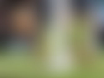 Guardiola é resoluto ao falar de Bravo, mas realmente deveria ser?