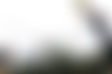 Precisa de goleiro? Botafogo tem a receita