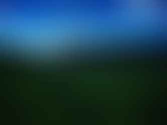 The Picture In Your Mind