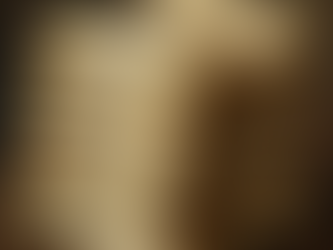 Why are some words or phrases missing from modern Bible Translations?