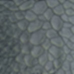 Miniaturbild: Dragon skin