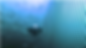 ROV edited.png