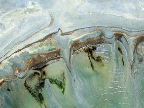 5 redenen waarom een werkgeluk coach zinvol is voor jou.