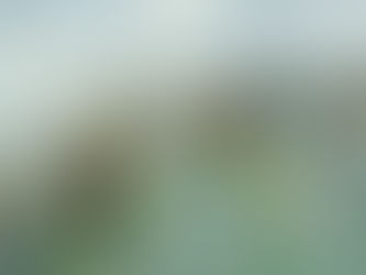 5 redenen waarom een werkgeluk coach zinvol is voor jou.