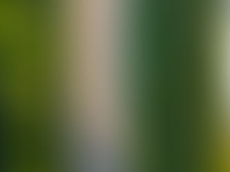 Welke baan past bij mij? Ga op ontdekkingstocht.