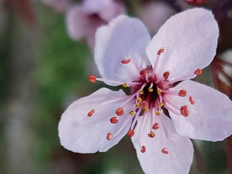 Floreren als ondernemer, weet wat je wil