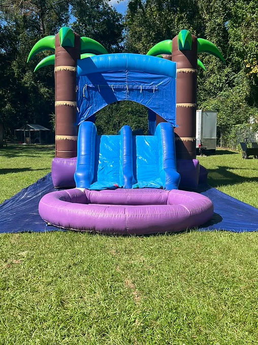 Enchanted Forest Water Slide Combo3.jpg
