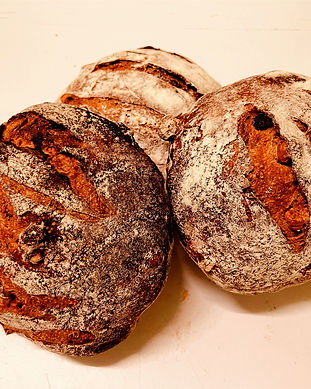 châtaigne figues noisettes_edited.jpg