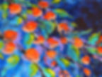 7.Beautiful Blossoms