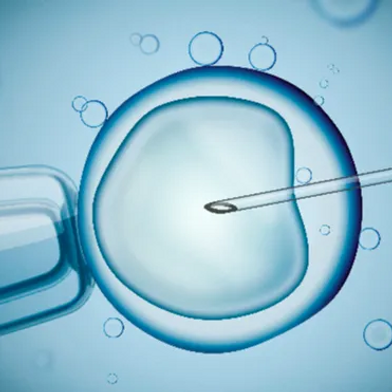 Effects of IVF on Offspring Cardiovascular Health