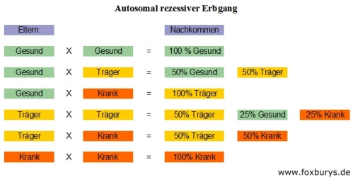 Gentests – ein wertvolles Hilfsmittel in der Zucht