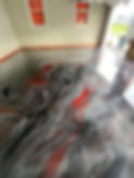 20250428_115040_7D35AC.JPEG