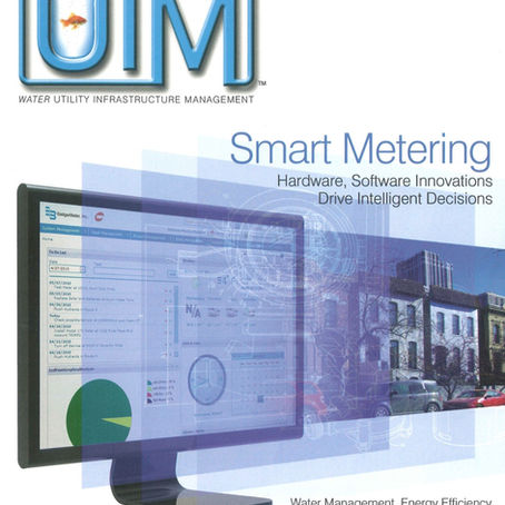Investing in the Smart Grid for Water to Save Water and Find Revenue - Water Utility Infrastructure 