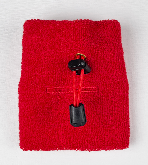 Thumbnail: Wrestling Disc