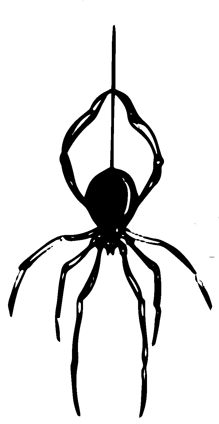 hanging-spider.gif