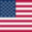 Flag_of_US.webp