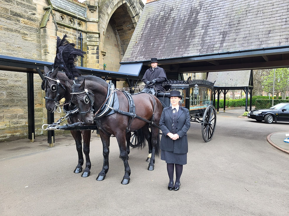 WhatsApp Image 2025-09-04 at 20.40.38.jpeg