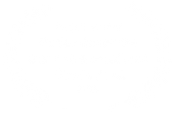 Award winner - Venice Under the Stars I
