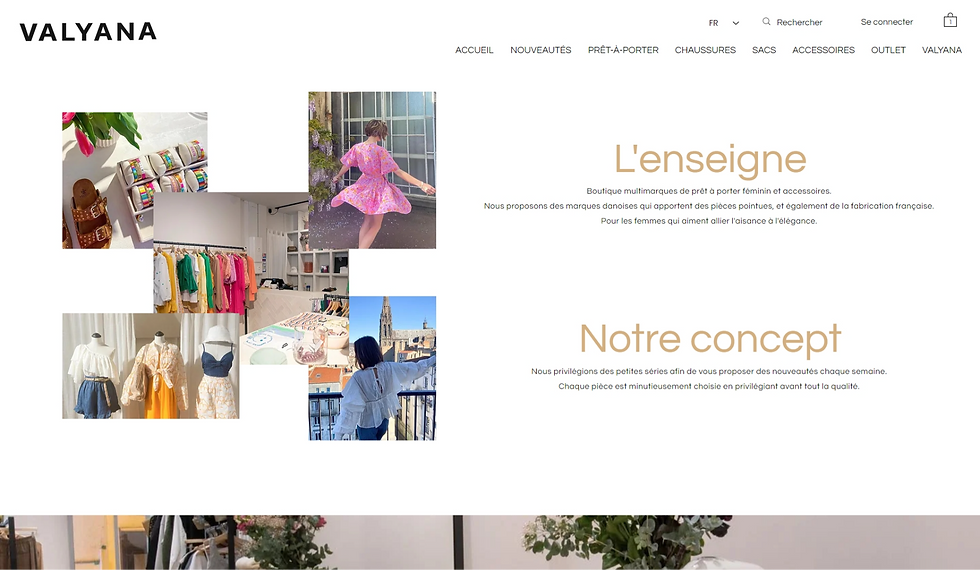 ecommerce page web