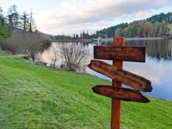 69e4d461-9bd3-4f4b-a4d3-7d9225f8b46c