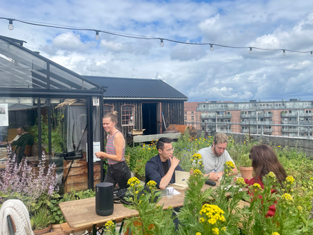 Grønne pilotprojekter i medarbejderteams