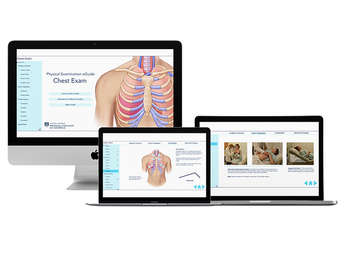 desktops-responsive-mockup-of-macbooks-p