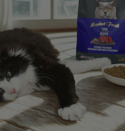 dry-food-category-image_edited.jpg