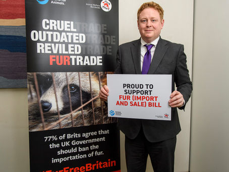 Backing Fur Free Britain Campaign and Seeks Trade Assurances
