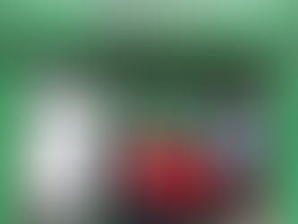 Vowing to Fight for Future of Redditch Local History Museum